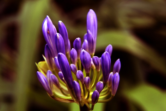 步行者和公牛均陷入困境，争夺季后赛资格，形势严峻。